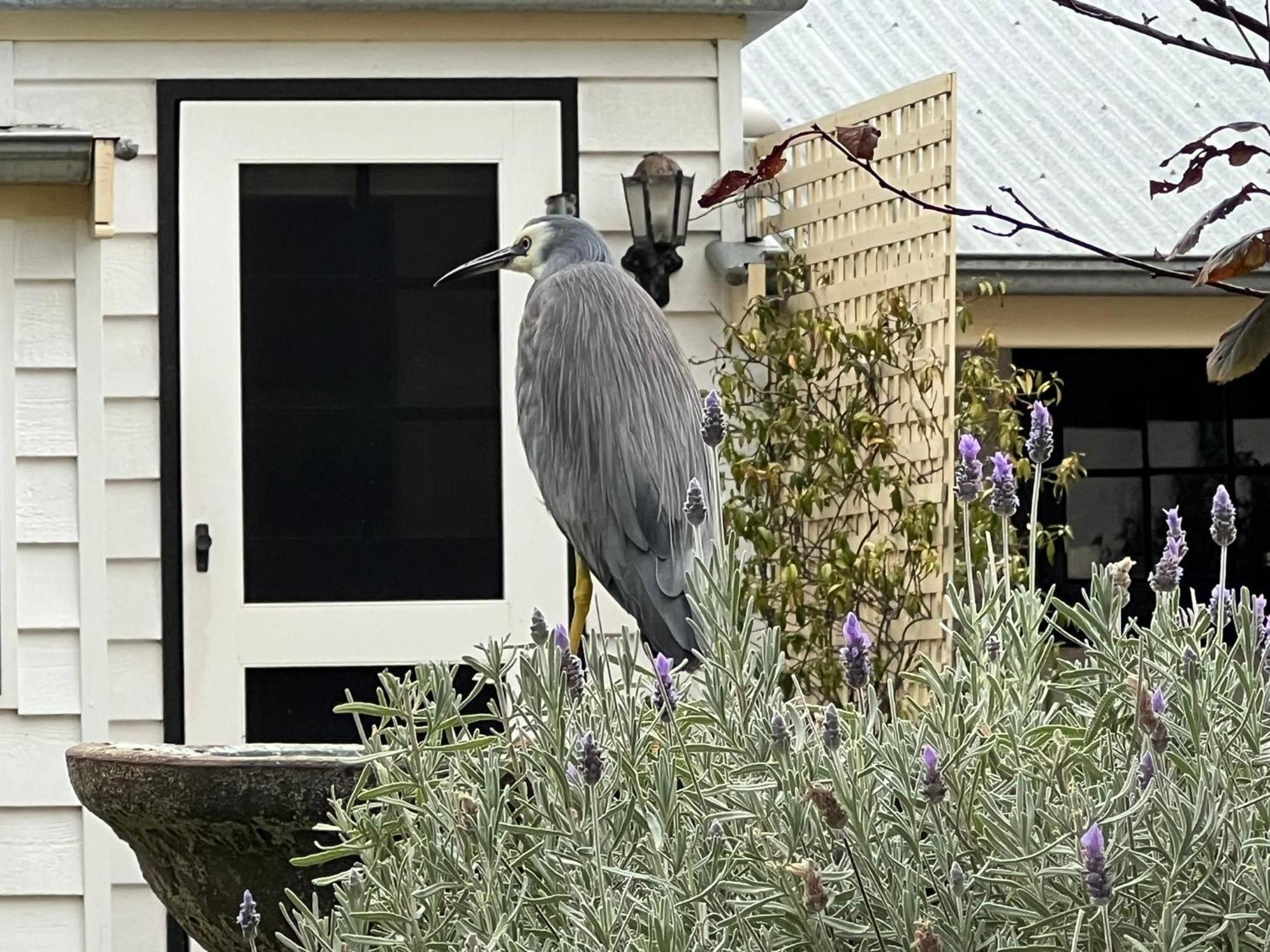 Yelki By The Sea Hotel Encounter Bay Exterior photo